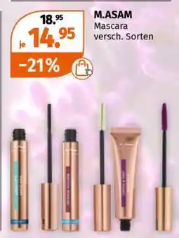 Müller M.ASAM Angebot