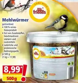 Norma little friends Mehlwürmer Angebot