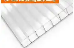 OBI Hohlkammerplatte Angebot