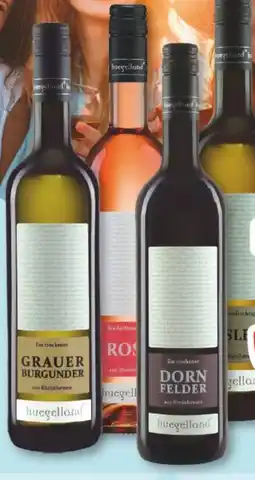 trinkgut Huegelland Rebsortenweine Angebot