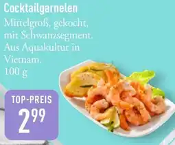 Galeria Markthalle Cocktailgarnelen Angebot