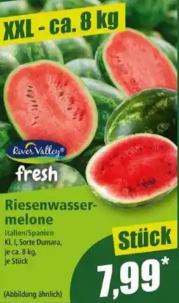 Norma River Valley fresh Riesenwassermelone Angebot
