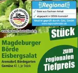 Norma Magdeburger Börde Eisbergsalat Angebot