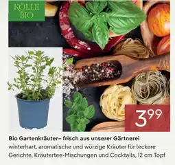 Pflanzen Kölle Kölle bio bio gartenkräuter Angebot