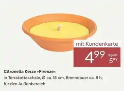 Pflanzen Kölle Citronella kerze firenze Angebot