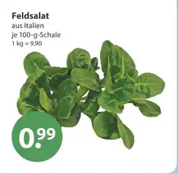 V Markt Feldsalat Angebot