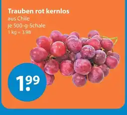 V Markt Trauben rot kernlos Angebot
