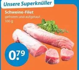 V Markt Schweine-filet Angebot