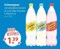V Markt Schweppes indian tonic water Angebot