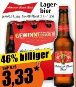 Norma Lagerbier Angebot