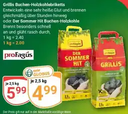 Globus Grillis Buchen-Holzkohlebriketts oder Der Sommer Hit Buchen-Holzkohle proFagus Angebot