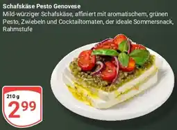 Globus Schafskäse Pesto Genovese Angebot
