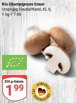 Globus Bio Champignons braun Angebot