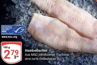 Globus Steinbeiẞerfilet Angebot