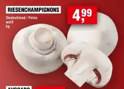 Handelshof RIESENCHAMPIGNONS Angebot