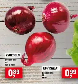 Handelshof ZWIEBELN Angebot