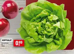 Handelshof KOPFSALAT Angebot