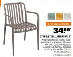 OBI STAPELSTUHL,,MERRYDALE" Angebot