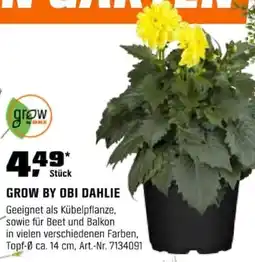 OBI GROW BY OBI DAHLIE Angebot