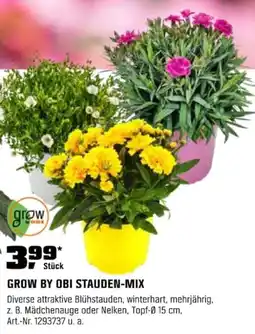 OBI GROW BY OBI STAUDEN-MIX Angebot