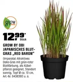 OBI GROW BY OBI JAPANISCHES BLUT- GRAS,,RED BARON" Angebot