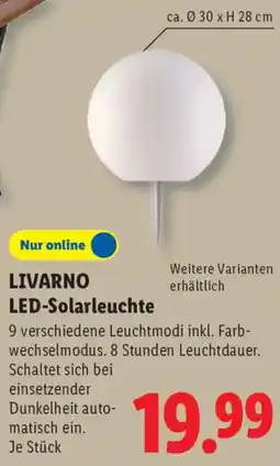 Lidl LIVARNO LED-Solarleuchte Angebot