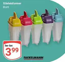 Globus FACKELMANN Stieleisformer Angebot