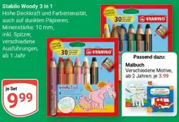Globus Stabilo Woody 3 in 1 Angebot