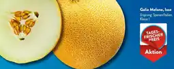 Aldi Süd Galia Melone, lose Angebot