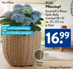 Aldi Süd BELAVI Pflanztopf Angebot