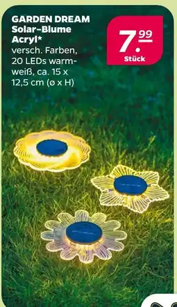 NETTO Garden dream solar-blume acryl Angebot