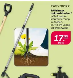 NETTO Easymaxx unkrautstecher Angebot