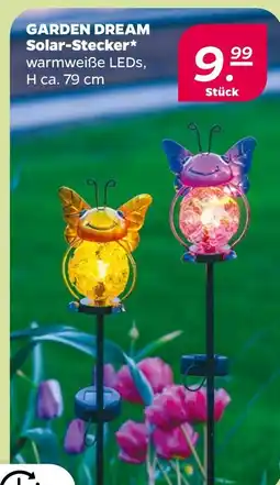 NETTO Solar-stecker Angebot