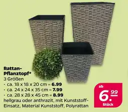 NETTO Rattan-pflanztopf ca. 18 x 18 x 20 cm Angebot