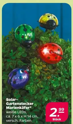 NETTO Solar-gartenstecker marienkäfer Angebot