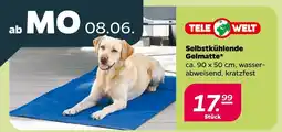NETTO Tele welt selbstkühlende gelmatte Angebot
