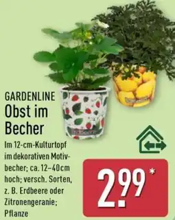 Aldi Nord GARDENLINE Obst im Becher Angebot