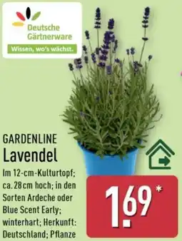 Aldi Nord GARDENLINE Lavendel Angebot