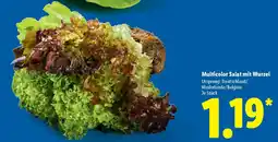 Lidl Multicolor Salat mit Wurzel Angebot