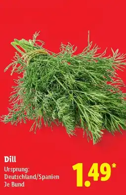 Lidl Dill Angebot
