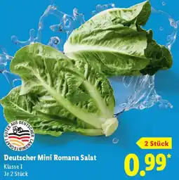 Lidl Deutscher Mini Romana Salat Angebot