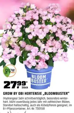 OBI GROW BY OBI HORTENSIE „BLOOMBUSTER" (Hydrangea) Angebot