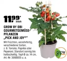 OBI GROW BY OBI GOURMETGEMÜSE PFLANZEN ,,PICK AND JOY®" Angebot
