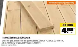 OBI TERRASSENDIELE DOUGLASIE Angebot