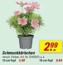 toom Baumarkt Schmuckkörbchen Angebot