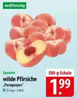 Famila Nord Ost Wilde pfirsiche Angebot