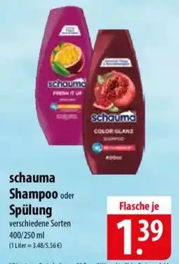 Famila Nord Ost schauma Shampoo oder Spülung Angebot