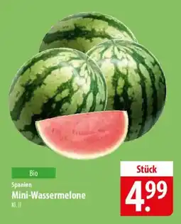 Famila Nord Ost Mini-Wassermelone Angebot