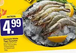 WEZ Deutsche White Tiger Garnelen Angebot