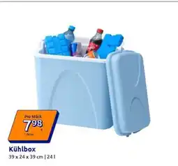 Action Kühlbox Angebot